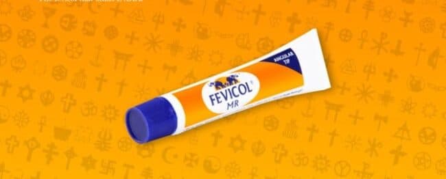 rakshabandhan-fevicol-670×270