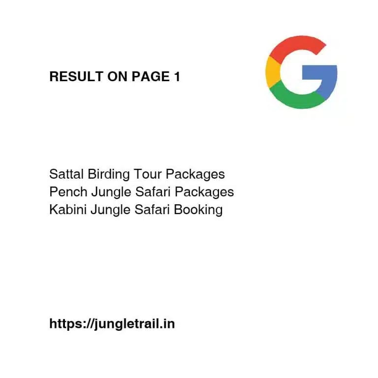 seo-17-768x768